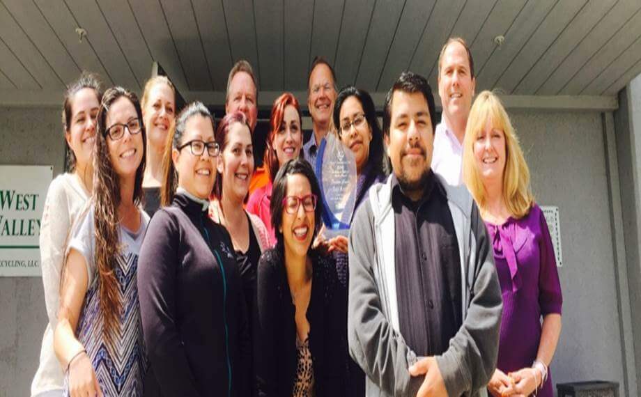 GreenTeam Safety Wall